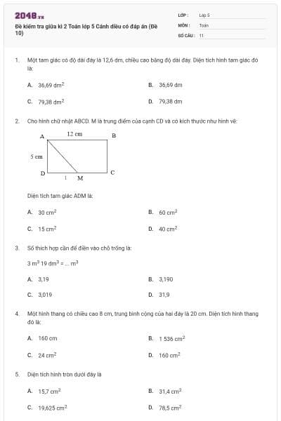 Đề kiểm tra giữa kì 2 Toán lớp 5 Cánh diều có đáp án (Đề 10)