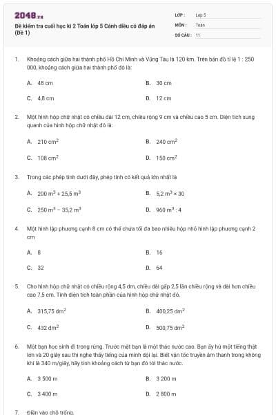Đề kiểm tra cuối học kì 2 Toán lớp 5 Cánh diều có đáp án (Đề 1)