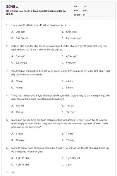 Đề kiểm tra cuối học kì 2 Toán lớp 5 Cánh diều có đáp án (Đề 2)