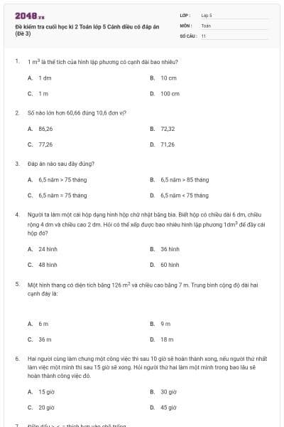 Đề kiểm tra cuối học kì 2 Toán lớp 5 Cánh diều có đáp án (Đề 3)