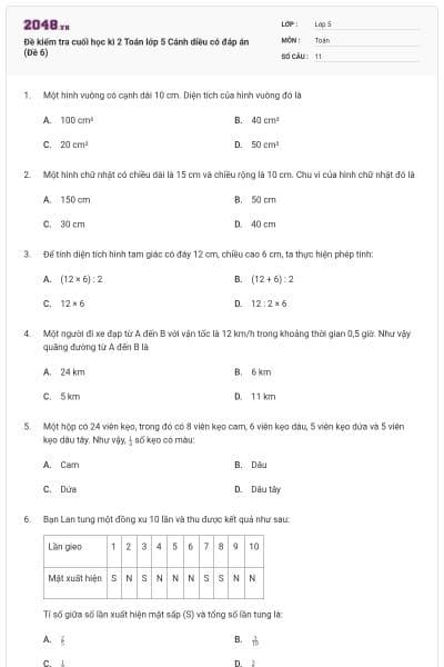 Đề kiểm tra cuối học kì 2 Toán lớp 5 Cánh diều có đáp án (Đề 6)
