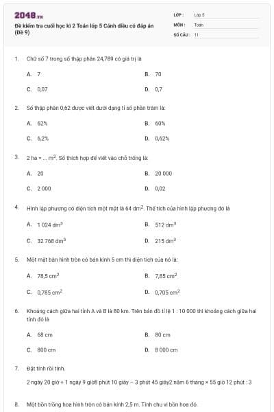 Đề kiểm tra cuối học kì 2 Toán lớp 5 Cánh diều có đáp án (Đề 9)