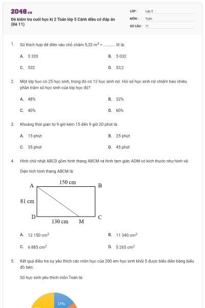 Đề kiểm tra cuối học kì 2 Toán lớp 5 Cánh diều có đáp án (Đề 11)