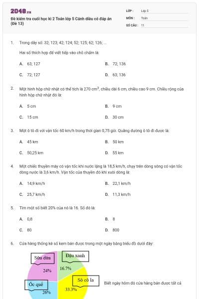 Đề kiểm tra cuối học kì 2 Toán lớp 5 Cánh diều có đáp án (Đề 13)