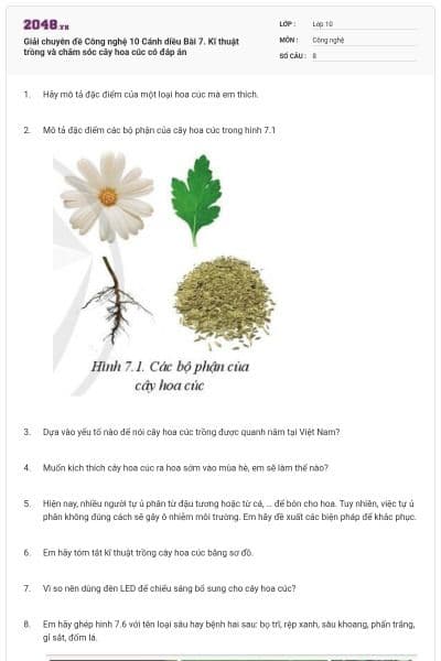 Giải chuyên đề Công nghệ 10 Cánh diều Bài 7. Kĩ thuật trồng và chăm sóc cây hoa cúc có đáp án