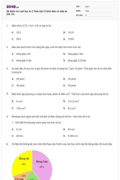 Đề kiểm tra cuối học kì 2 Toán lớp 5 Cánh diều có đáp án (Đề 14)