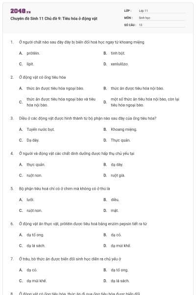 Chuyên đề Sinh 11 Chủ đề 9: Tiêu hóa ở động vật
