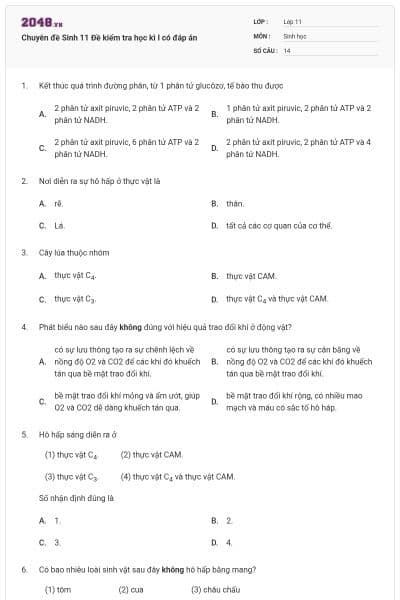 Chuyên đề Sinh 11 Đề kiểm tra học kì I có đáp án