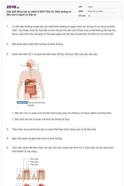 Giải SGK Khoa học tự nhiên 8 KNTT Bài 32: Dinh dưỡng và tiêu hóa ở người có đáp án