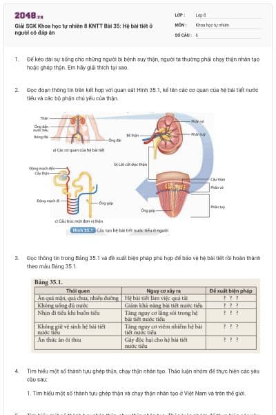 Giải SGK Khoa học tự nhiên 8 KNTT Bài 35: Hệ bài tiết ở người có đáp án