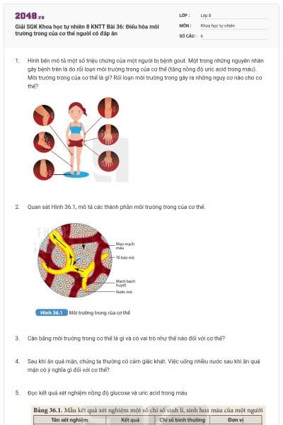 Giải SGK Khoa học tự nhiên 8 KNTT Bài 36: Điểu hòa môi trường trong của cơ thể người có đáp án