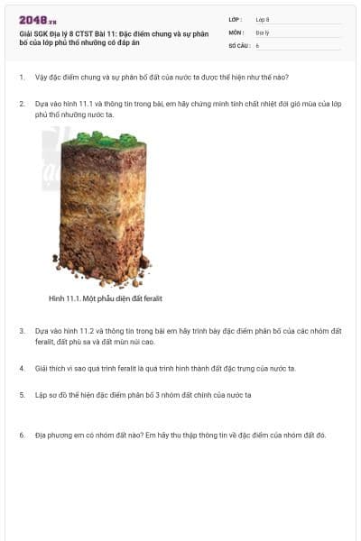Giải SGK Địa lý 8 CTST Bài 11: Đặc điểm chung và sự phân bố của lớp phủ thổ nhưỡng có đáp án