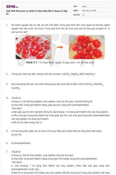 Giải SGK Khoa học tự nhiên 8 Cánh diều Bài 9: Base có đáp án
