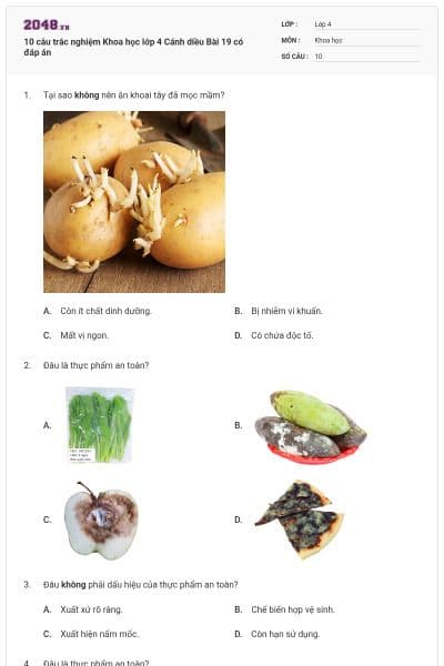 10 câu trắc nghiệm Khoa học lớp 4 Cánh diều Bài 19 có đáp án