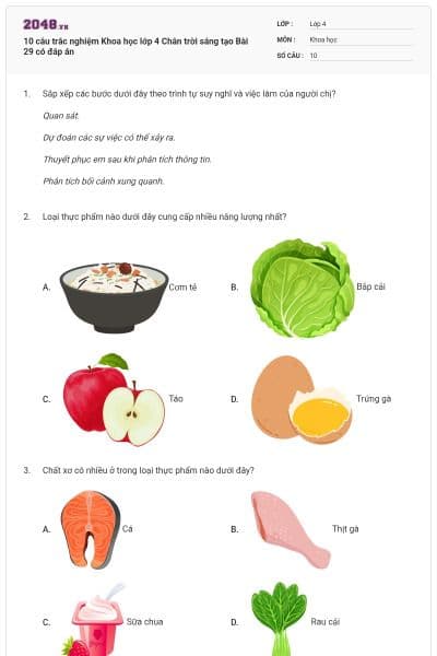 10 câu trắc nghiệm Khoa học lớp 4 Chân trời sáng tạo Bài 29 có đáp án