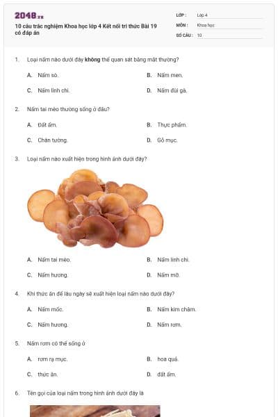 10 câu trắc nghiệm Khoa học lớp 4 Kết nối tri thức Bài 19 có đáp án