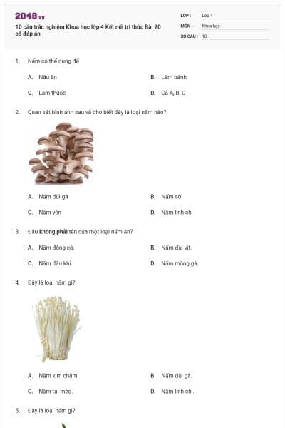 10 câu trắc nghiệm Khoa học lớp 4 Kết nối tri thức Bài 20 có đáp án