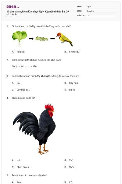 10 câu trắc nghiệm Khoa học lớp 4 Kết nối tri thức Bài 29 có đáp án