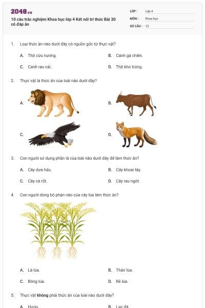 10 câu trắc nghiệm Khoa học lớp 4 Kết nối tri thức Bài 30 có đáp án