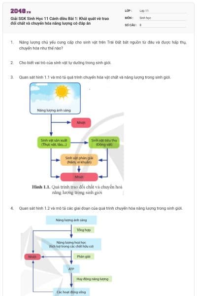 Giải SGK Sinh Học 11 Cánh diều Bài 1: Khái quát về trao đổi chất và chuyển hóa năng lượng có đáp án