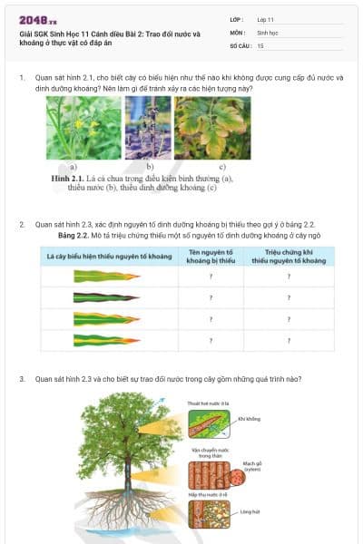 Giải SGK Sinh Học 11 Cánh diều Bài 2: Trao đổi nước và khoáng ở thực vật có đáp án
