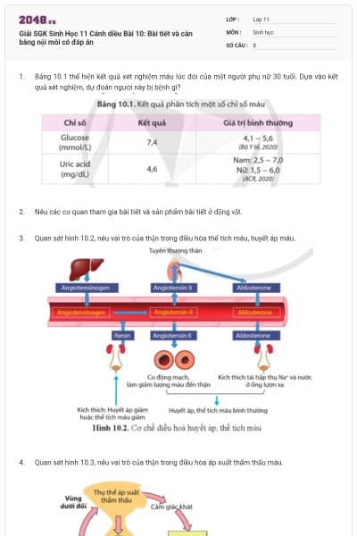 Giải SGK Sinh Học 11 Cánh diều Bài 10: Bài tiết và cân bằng nội môi có đáp án