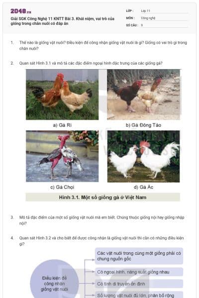 Giải SGK Công Nghệ 11 KNTT Bài 3. Khái niệm, vai trò của giống trong chăn nuôi có đáp án