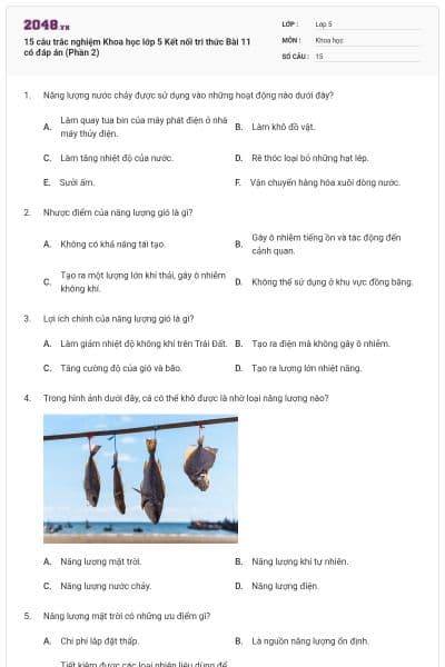 15 câu trắc nghiệm Khoa học lớp 5 Kết nối tri thức Bài 11 có đáp án (Phần 2)