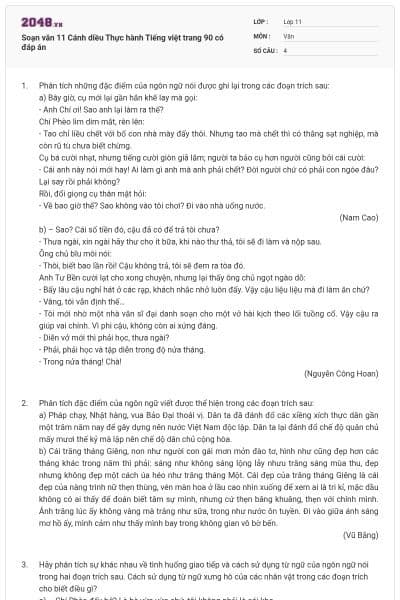 Soạn văn 11 Cánh diều Thực hành Tiếng việt trang 90 có đáp án