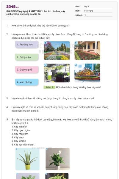 Giải SGK Công Nghệ 4 KNTT Bài 1. Lợi ích của hoa, cây cảnh đối với đời sống có đáp án