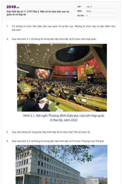 Giải SGK Địa lý 11 CTST Bài 5. Một số tổ chức khu vực và quốc tế có đáp án