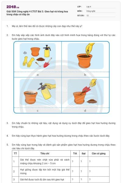 Giải SGK Công nghệ 4 CTST Bài 3. Gieo hạt và trồng hoa trong chậu có đáp án