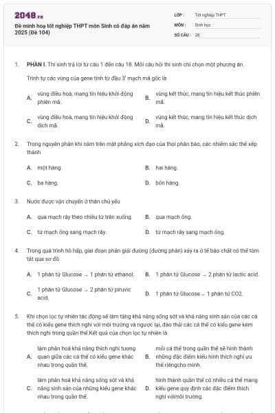Đề minh hoạ tốt nghiệp THPT môn Sinh có đáp án năm 2025 (Đề 104)