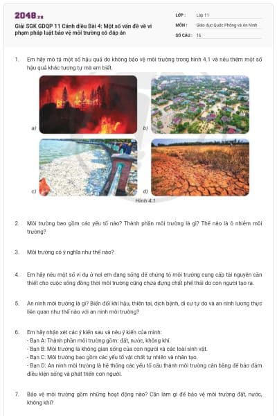 Giải SGK GDQP 11 Cánh diều Bài 4: Một số vấn đề về vi phạm pháp luật bảo vệ môi trường có đáp án