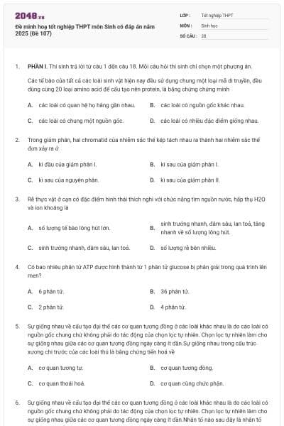 Đề minh hoạ tốt nghiệp THPT môn Sinh có đáp án năm 2025 (Đề 107)