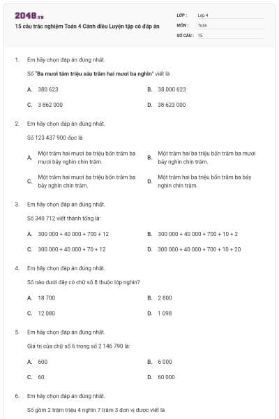 15 câu trắc nghiệm Toán 4 Cánh diều Luyện tập có đáp án
