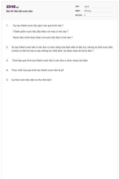 Bài 39: Bài tiết nước tiểu