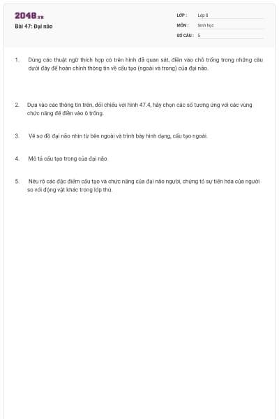 Bài 47: Đại não