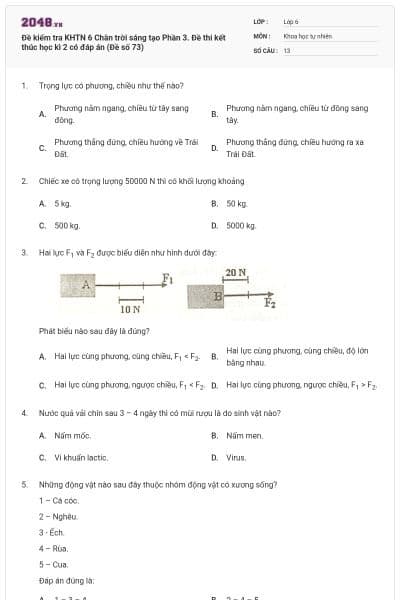 Đề kiểm tra KHTN 6 Chân trời sáng tạo Phần 3. Đề thi kết thúc học kì 2 có đáp án (Đề số 73)