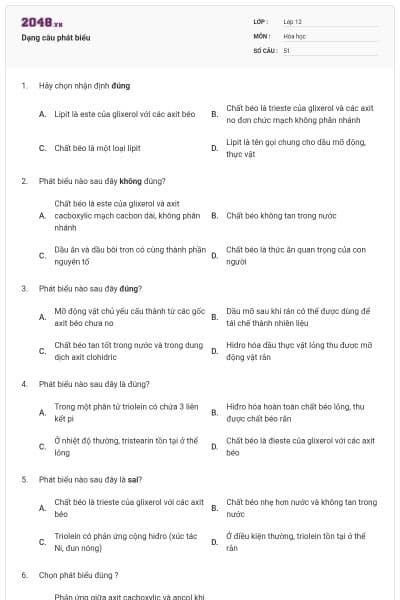 Dạng câu phát biểu