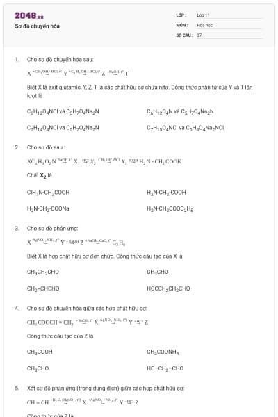 Sơ đồ chuyển hóa