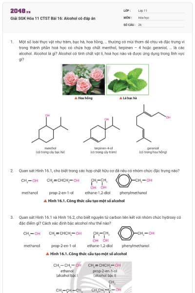Giải SGK Hóa 11 CTST Bài 16: Alcohol có đáp án