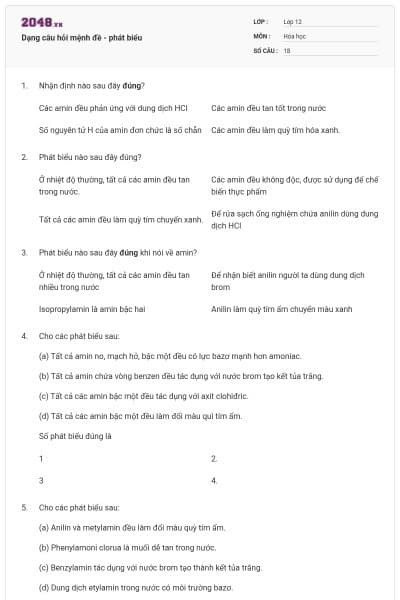 Dạng câu hỏi mệnh đề - phát biểu