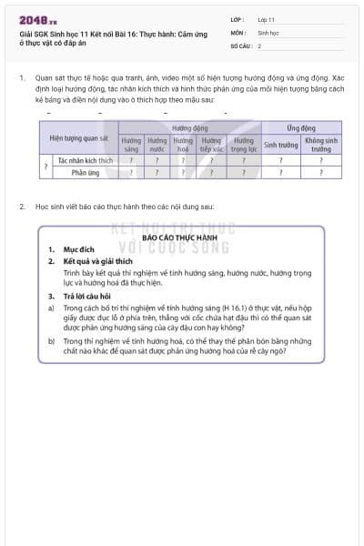 Giải SGK Sinh học 11 Kết nối Bài 16: Thực hành: Cảm ứng ở thực vật có đáp án