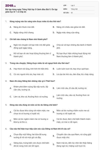 Bài tập hàng ngày Tiếng Việt lớp 5 Cánh diều Bài 5: Ôn tập giữa học kì 1 có đáp án