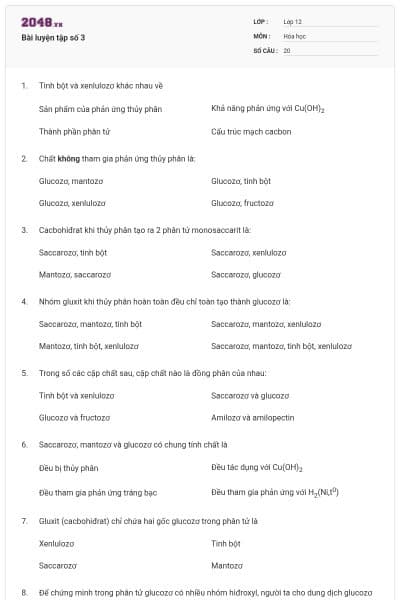 Bài luyện tập số 3