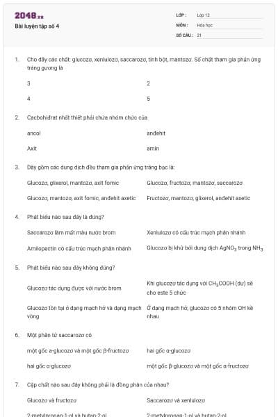 Bài luyện tập số 4