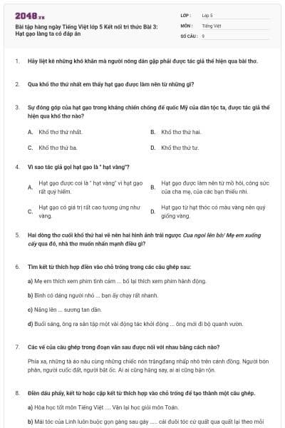 Bài tập hàng ngày Tiếng Việt lớp 5 Kết nối tri thức Bài 3: Hạt gạo làng ta có đáp án