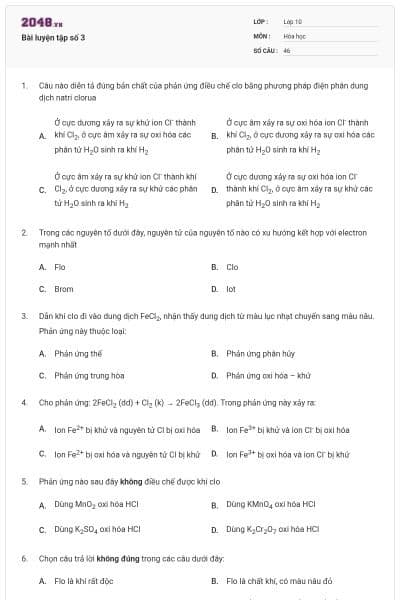 Bài luyện tập số 3