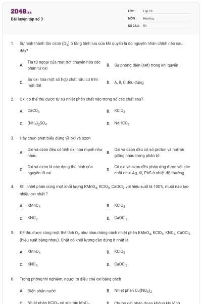 Bài luyện tập số 3